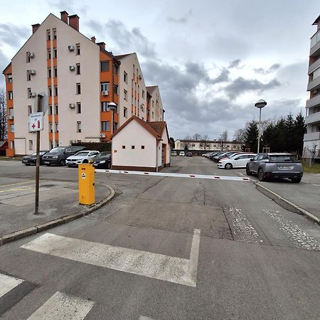 Apartma Golob Maribor Ngoại thất bức ảnh